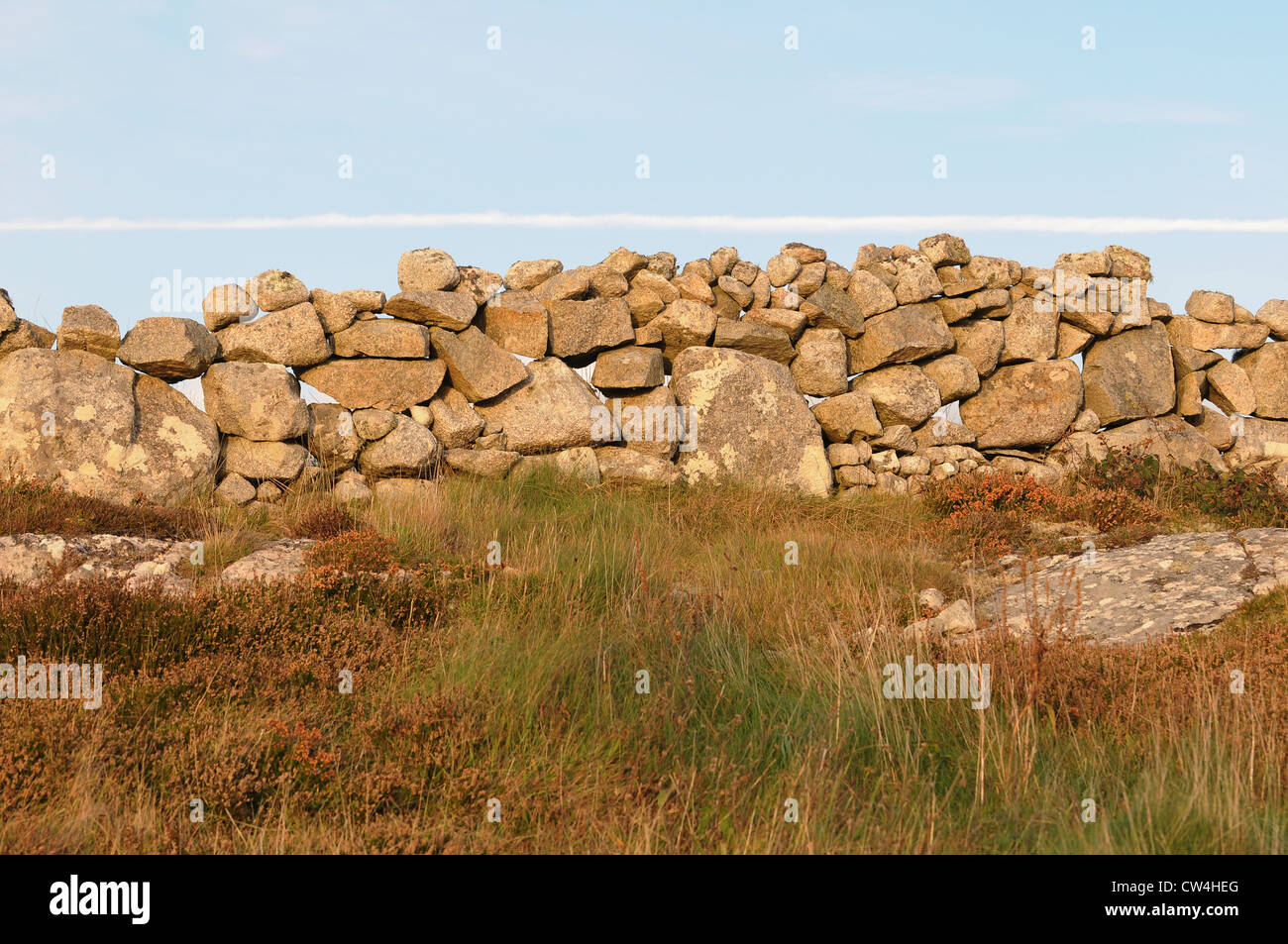Trockenmauer Feldgrenze Carraroe, Conamara, County Galway, Irland Stockfoto