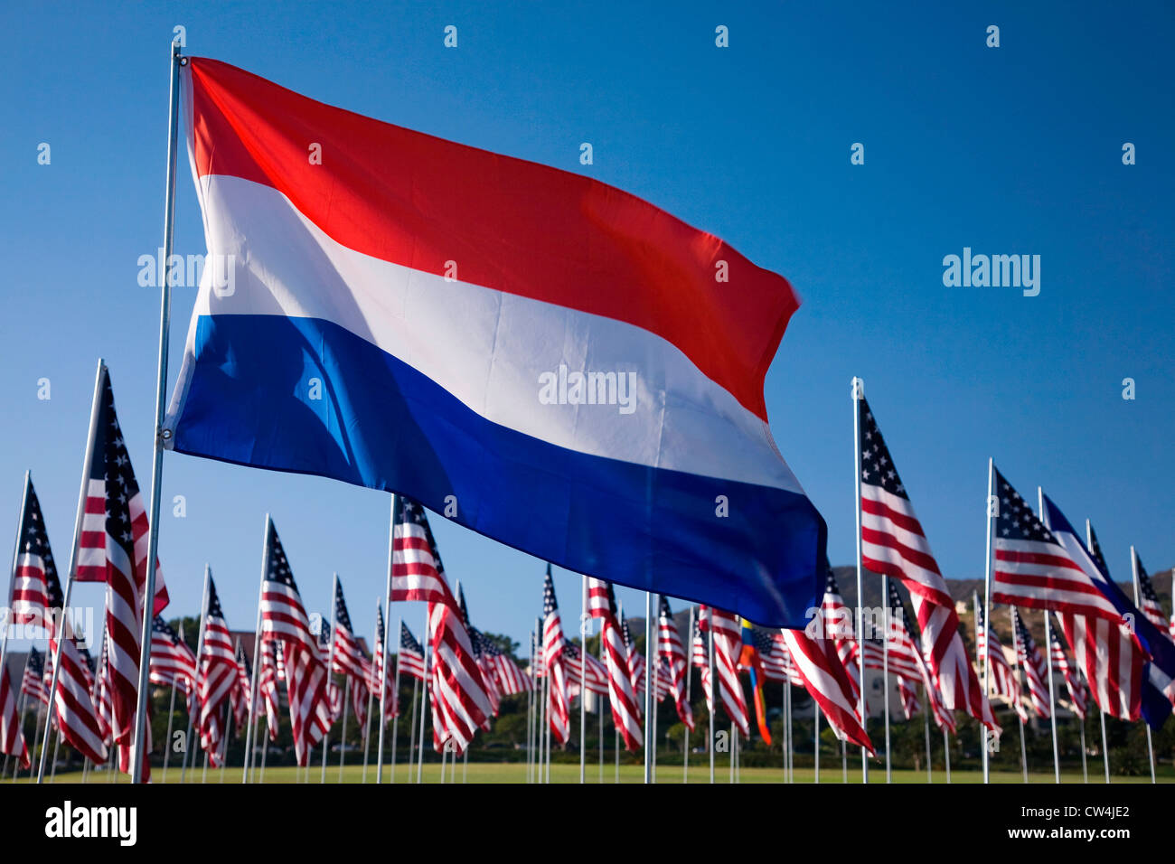 Niederländische Flagge unter 3000 Flaggen, 11. September 2009, Malibu CA Stockfoto