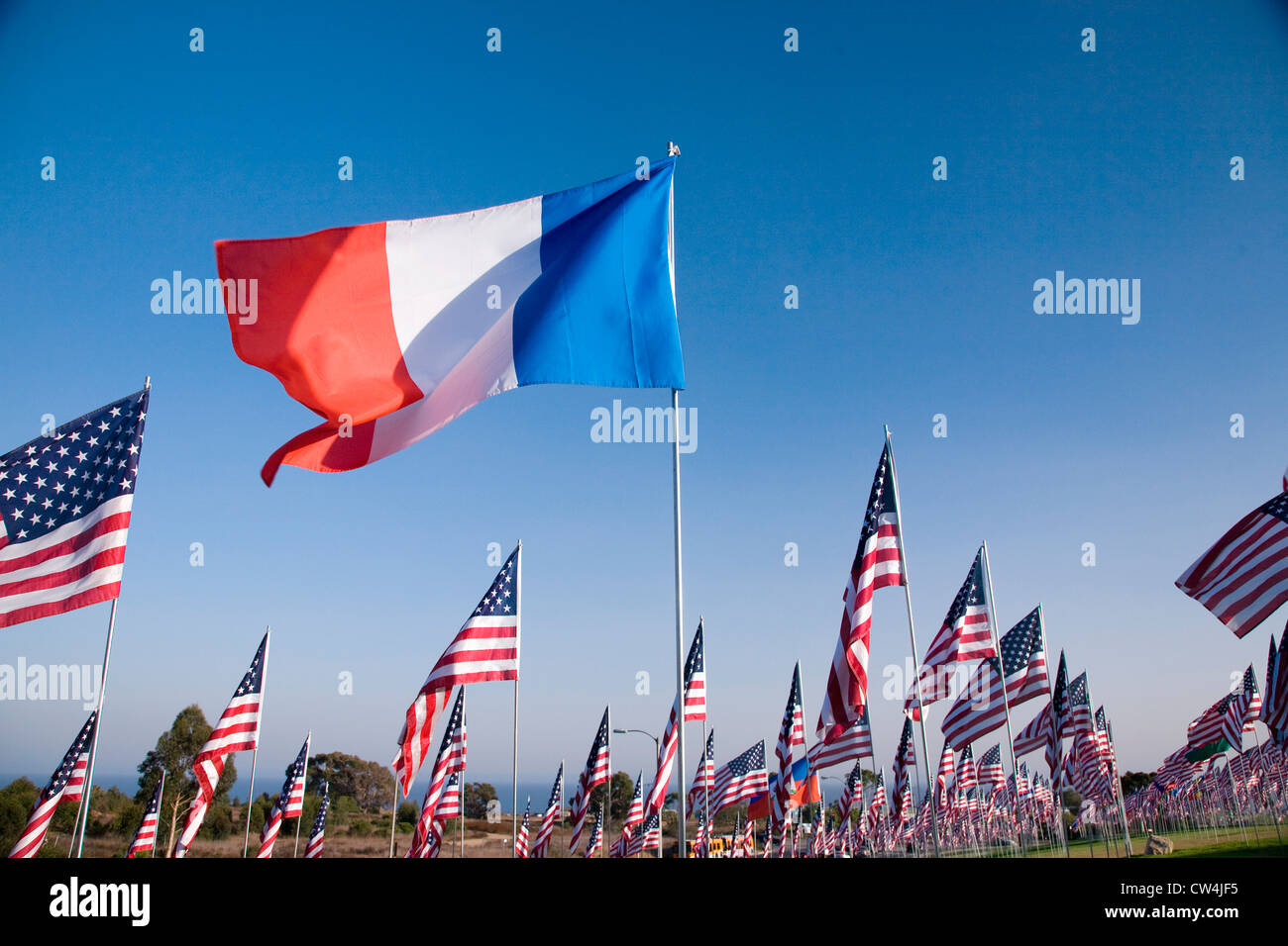 Französische Flagge unter 3000 Flaggen, 11. September 2009, Malibu CA Stockfoto