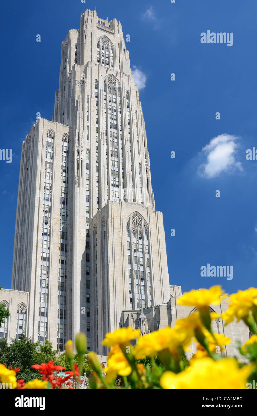 Dom des Lernens an der University of Pittsburgh, in Oakland Nachbarschaft von Pittsburgh, Pennsylvania. Stockfoto