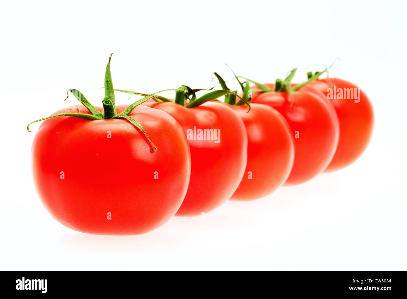 Frische Tomaten - geringe Schärfentiefe - Studio gedreht Stockfoto