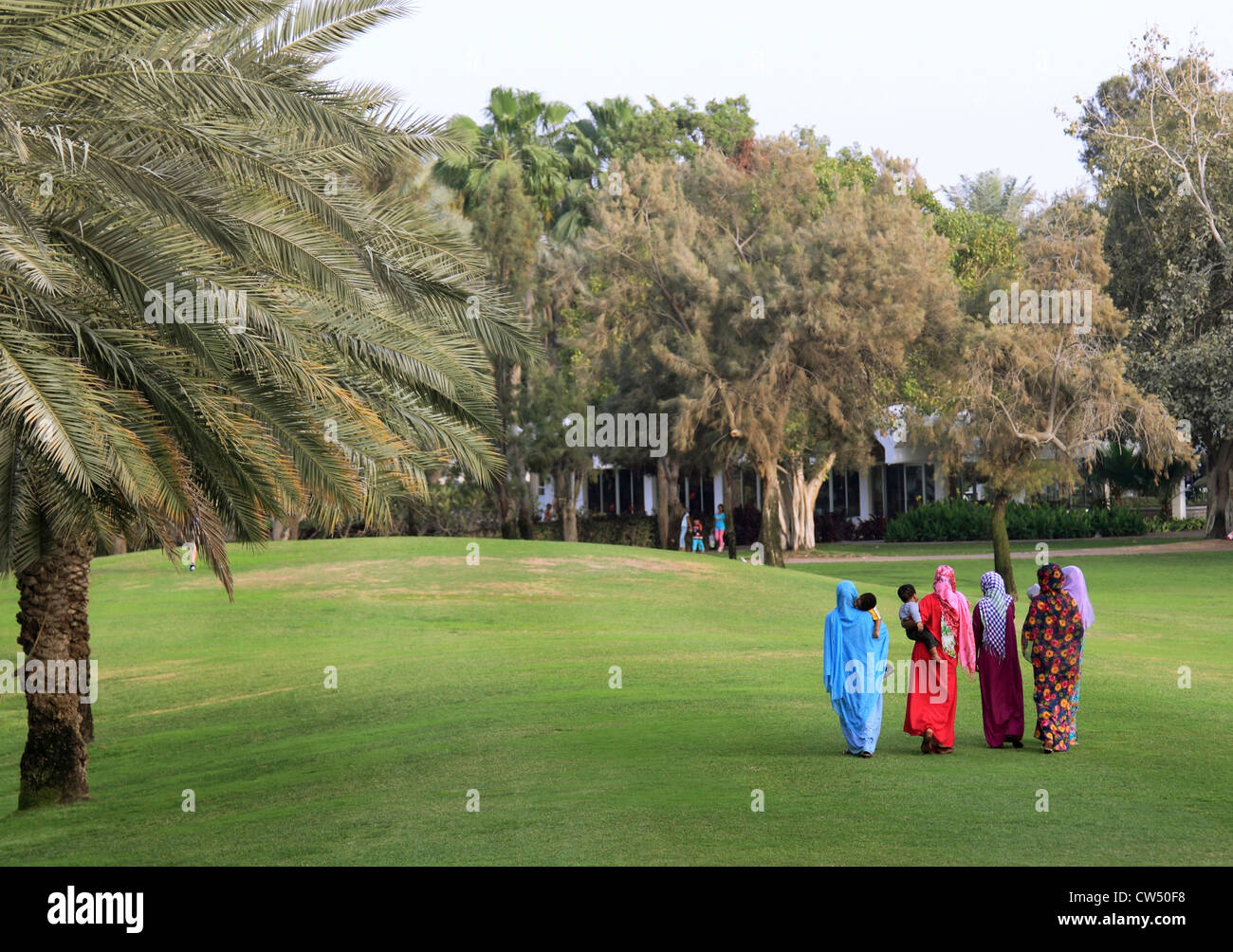3682. Safa Park, Dubai, Vereinigte Arabische Emirate. Stockfoto