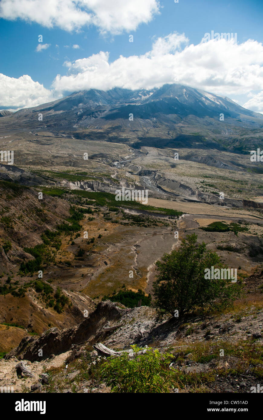 Mt. St. Helens National Volcanic Monument von Lookout. Stockfoto