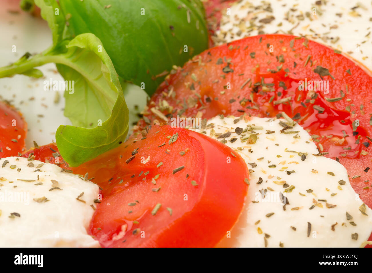 Eine klassische Caprese-Salat mit frischen Mozzarellakäse und saftige rote Tomate mit Basilikum Beilage - Studio gedreht Stockfoto