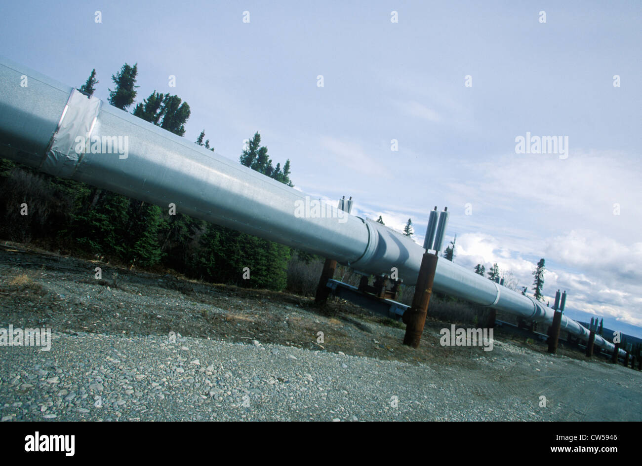 Trans-Alaska-Pipeline auf Route 4, in der Nähe von Paxson, AK Stockfoto
