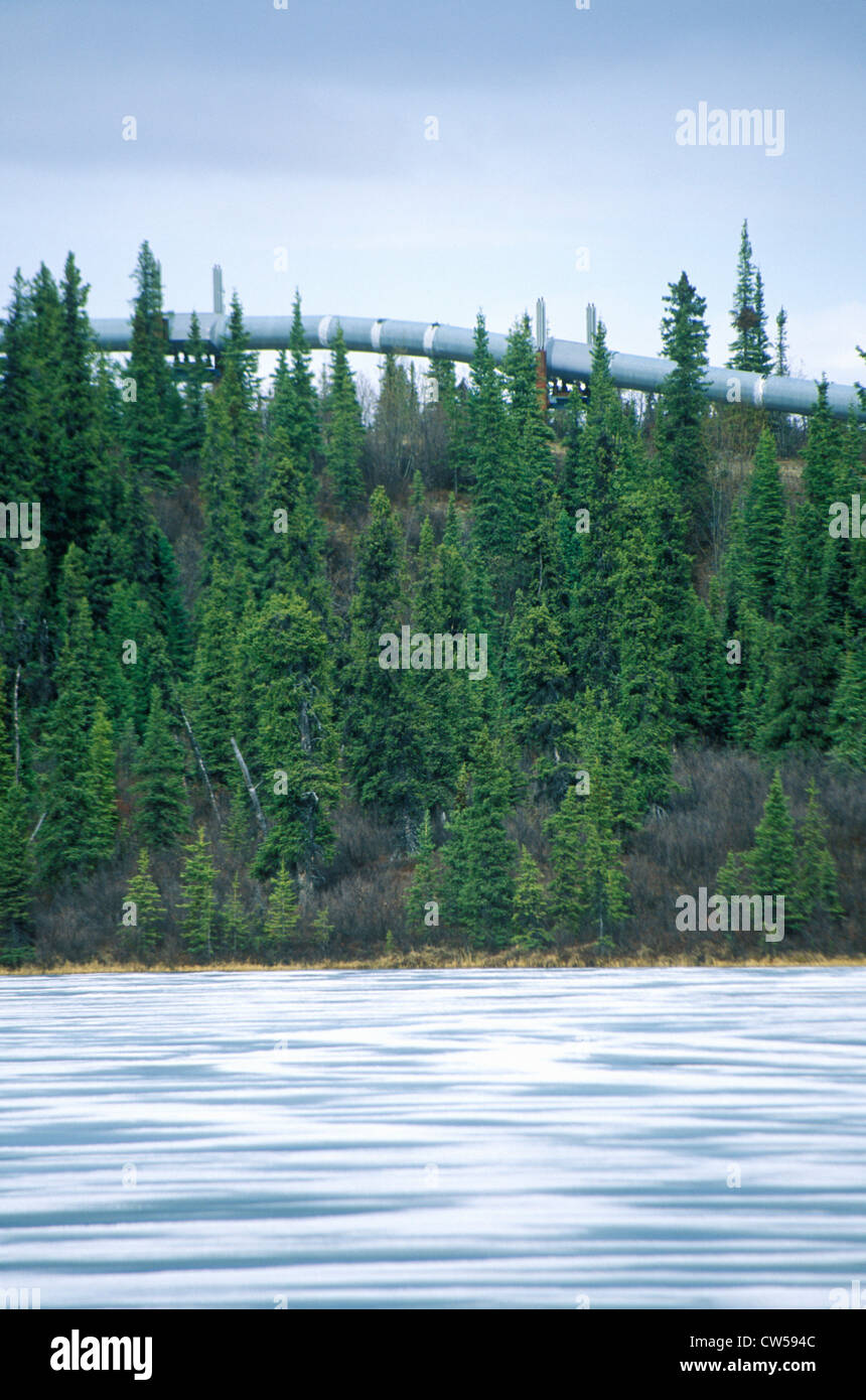 Trans-Alaska-Pipeline auf Route 4, in der Nähe von Paxson, AK Stockfoto