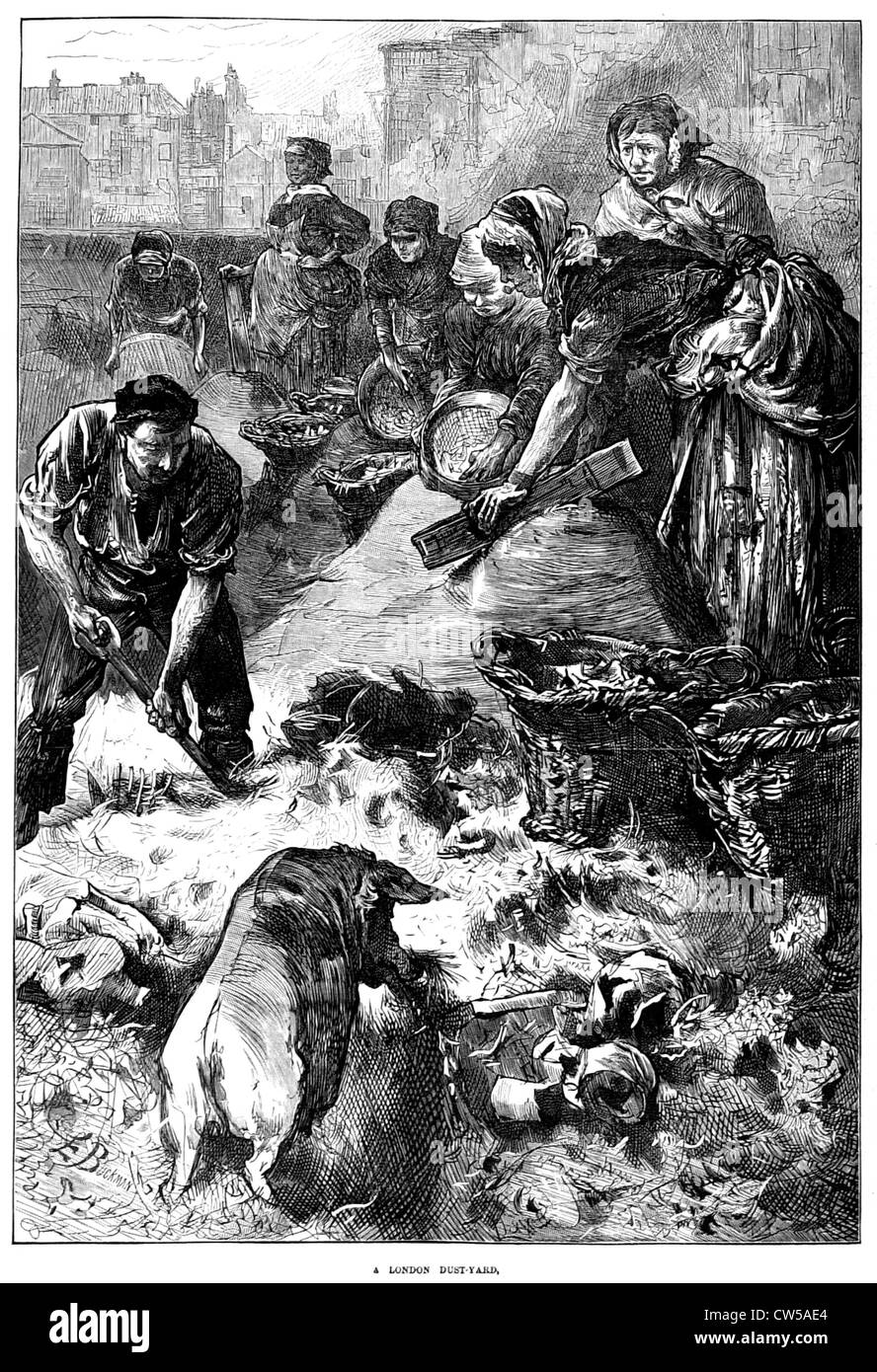 Ein London-Schweinestall in "The Illustrated London News" Stockfoto