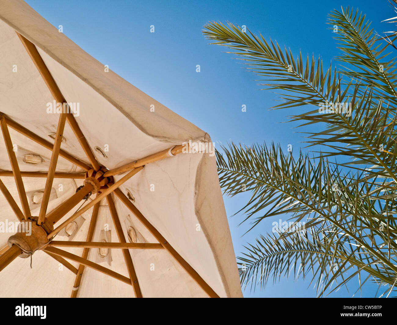 Urlaub unter Palmen Stockfoto