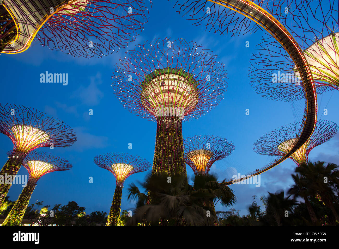 "Supertrees" Singapurs Gardens by the Bay. Am 29.06.2012 eröffnet. Auf neu gewonnenem Land in Singapur Marina Bay Gegend gelegen. Stockfoto