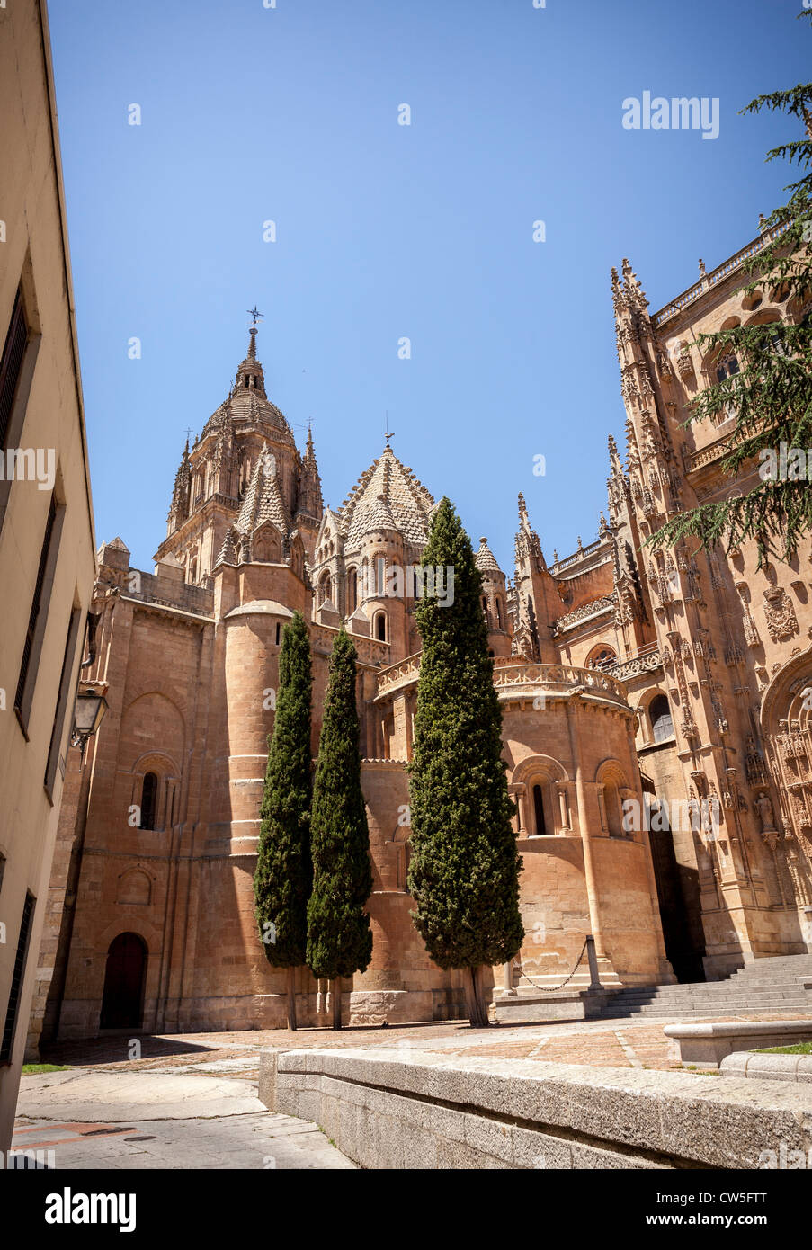 Atemberaubende Aussicht auf die Kathedrale, die Gebäude in Salamanca, Spanien, Europa. Stockfoto