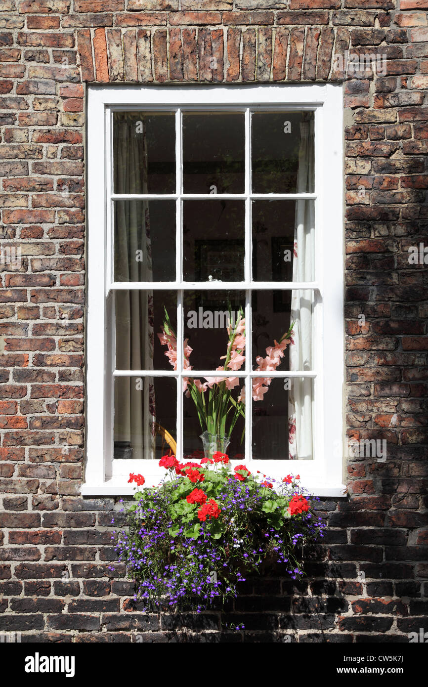 Schiebefenster mit Blumen in Georgian Elm House in Sedgefield, Nord-Ost England UK Stockfoto