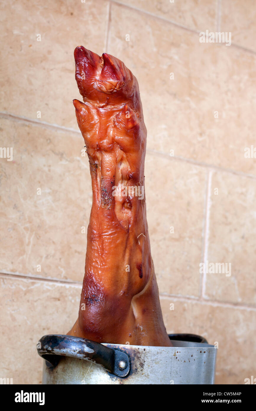 Schwere ungesunde Diät-Konzept mit großen Schwein Bein Stockfoto