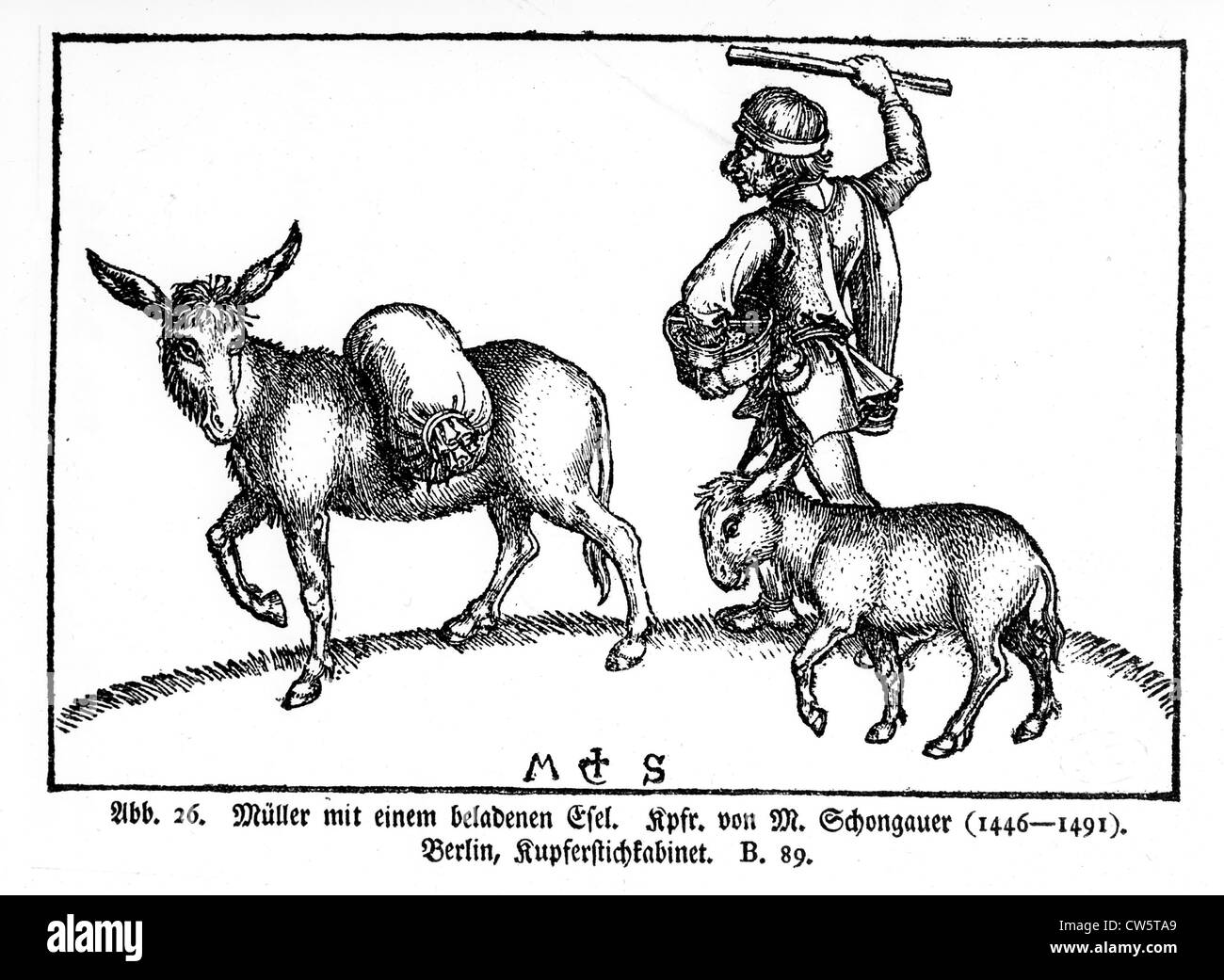 Holzstich, Bauer mit seinem Maultier und seinem Esel Stockfoto