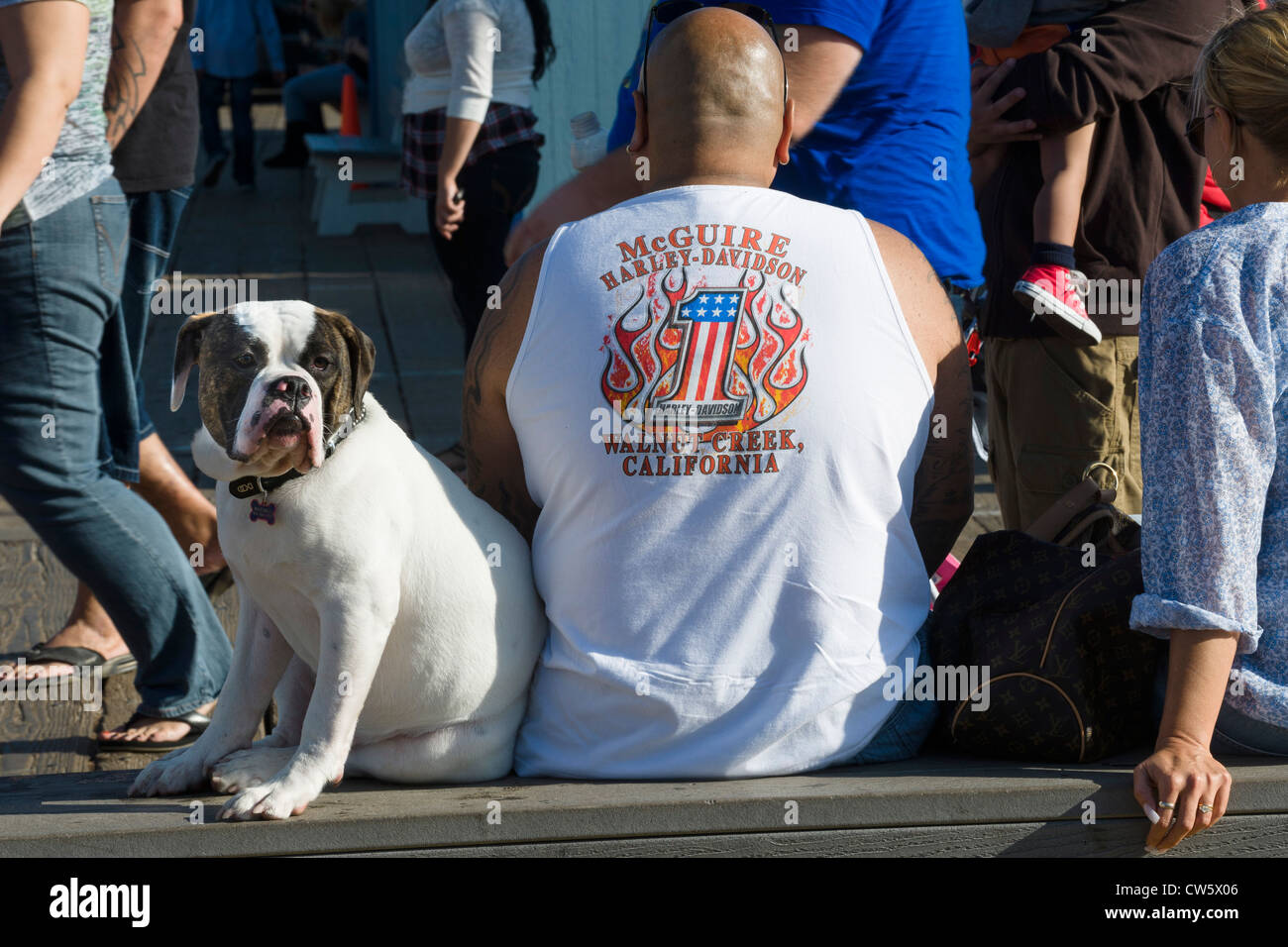 Mann mit Hund am Santa Monica Pier, Santa Monica, Kalifornien. Stockfoto