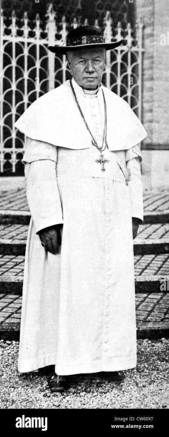 Papst Pius X. Stockfoto