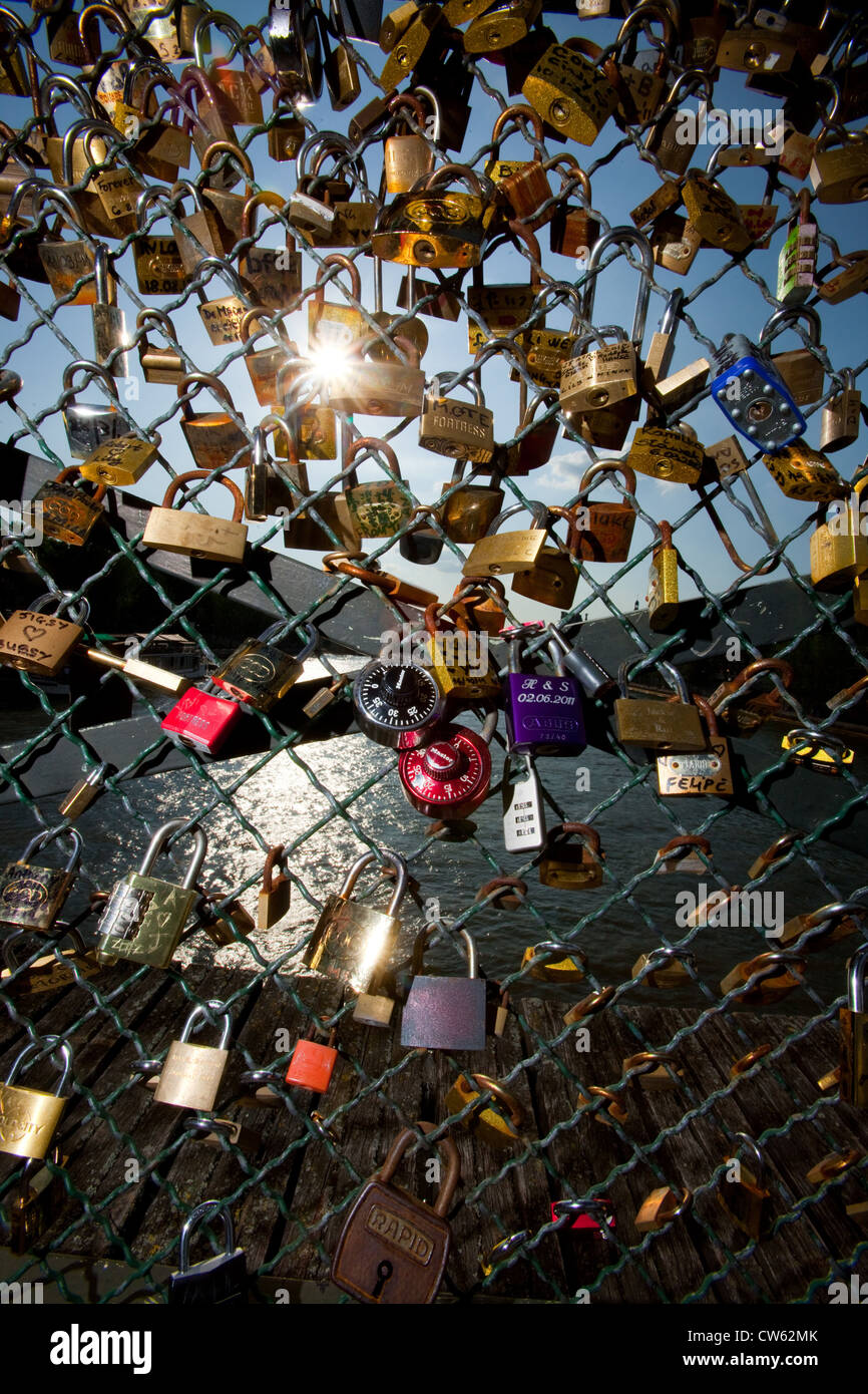 Liebesschlösser am Pont de l'Archevêché, Paris, Frankreich Stockfoto