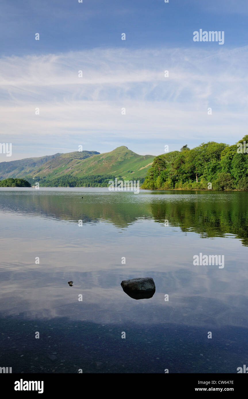 Katze-Glocken spiegelt sich in Derwent Water in einer ruhigen sonnigen Sommertag im englischen Lake District Stockfoto