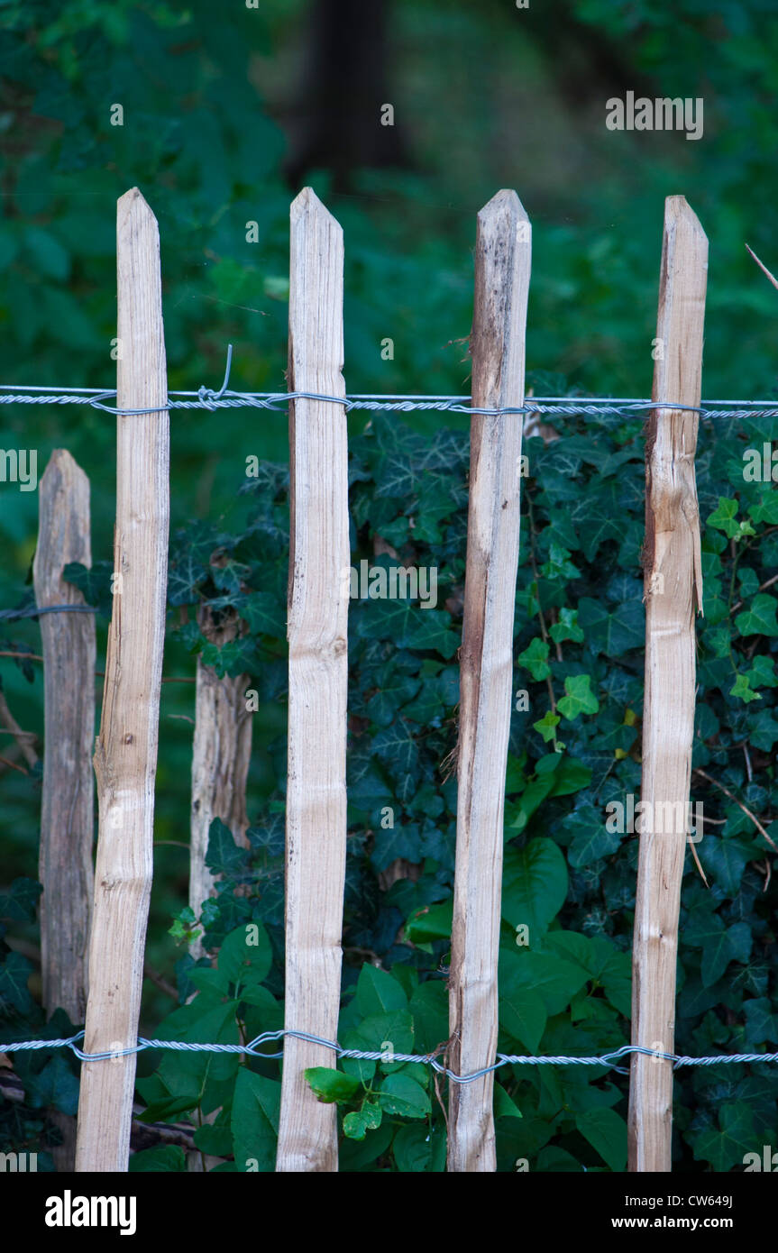 Kastanien Paling Stick und Draht Zäune Stockfoto