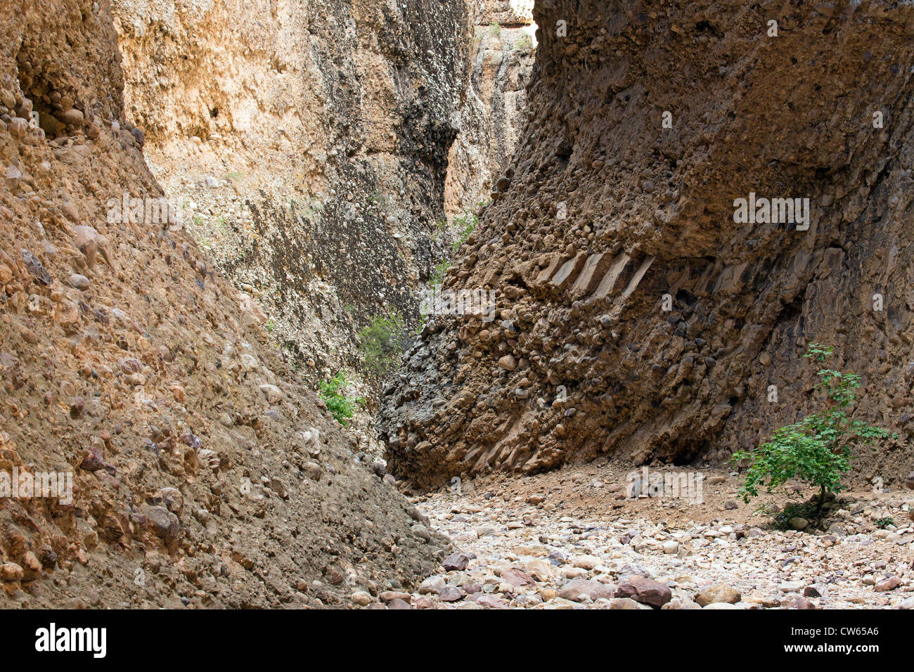 Innenraum eines Box-Canyons in zentrale Utah zeigen geologische Formationen aus Konglomerat Gestein, beliebter Treffpunkt für Kletterer. Stockfoto