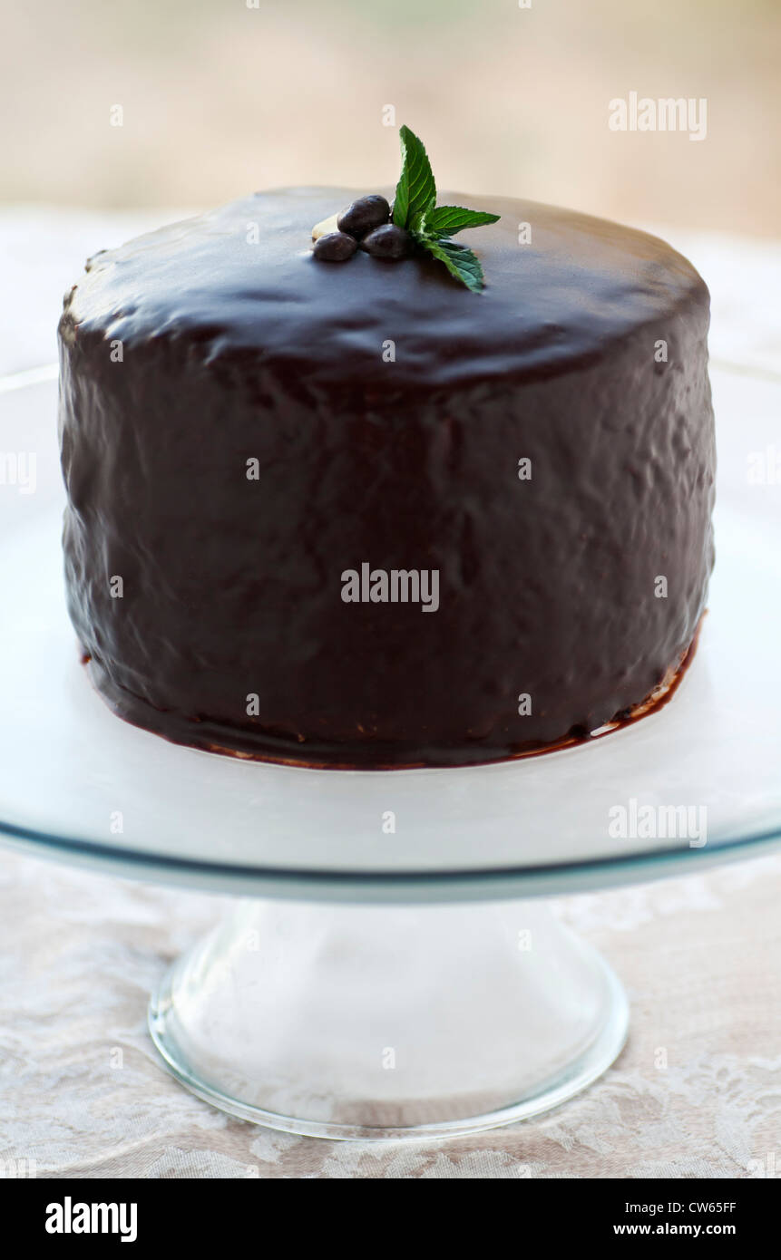Dunkler Schokoladenkuchen mit Ganache, Espressobohnen und Minze Stockfoto