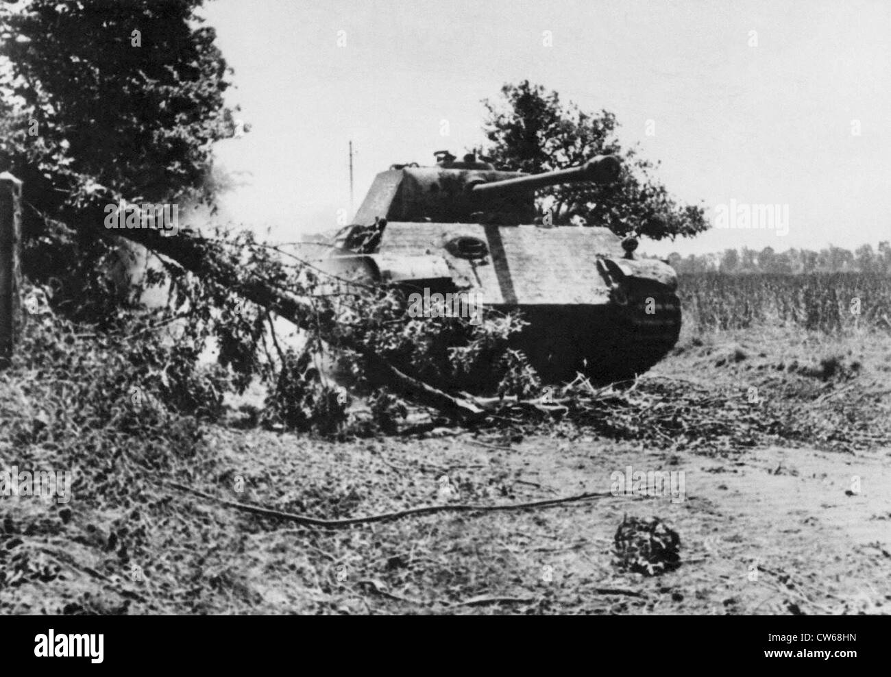 Deutscher PzKw V Panther-Panzer, dem zweiten Weltkrieg. Stockfoto