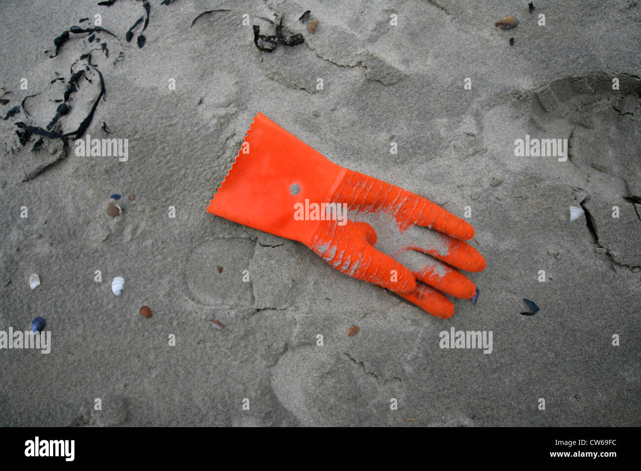 roten Gummihandschuh liegen am Sandstrand, Treibgut, Sluis, Breskens, Zeeland, Niederlande Stockfoto