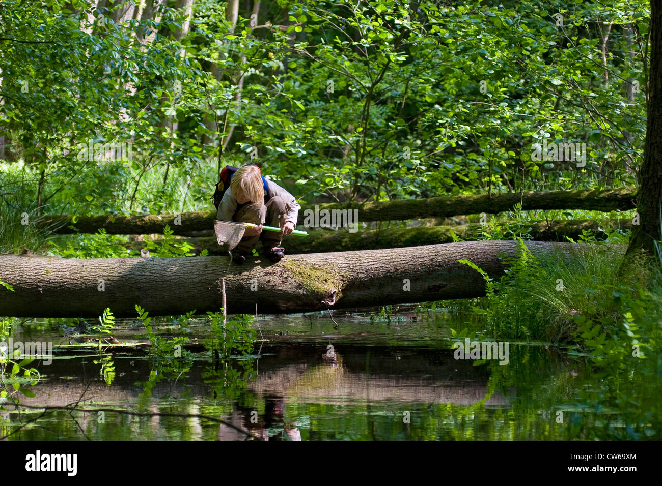 Junge mit Dip net an einem Wald Bach, sitzen auf einem Baumstamm über das Wasser Stockfoto