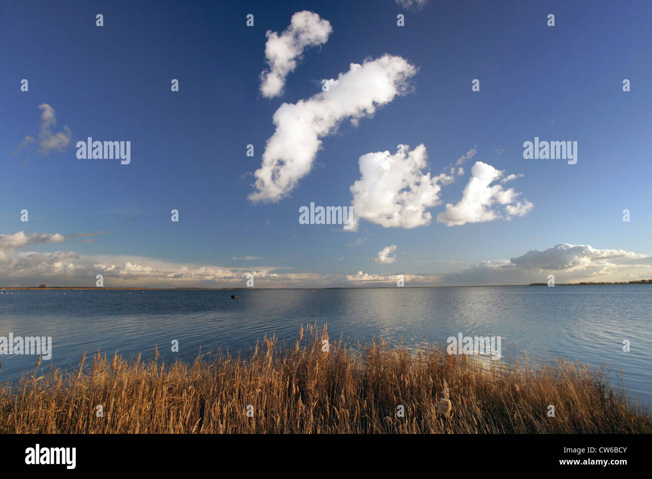 Zingst-Blick auf die nationalen Boddenlandschaft Stockfoto