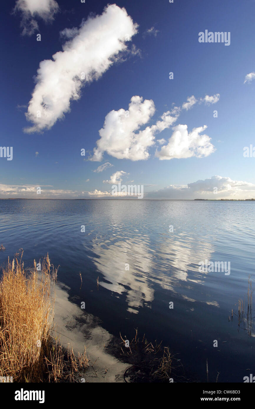 Zingst-Blick auf die nationalen Boddenlandschaft Stockfoto