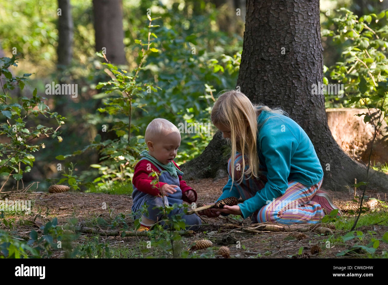 Mädchen spielen mit einem Baby mit Stäbchen und Zapfen in einem Wald Stockfoto
