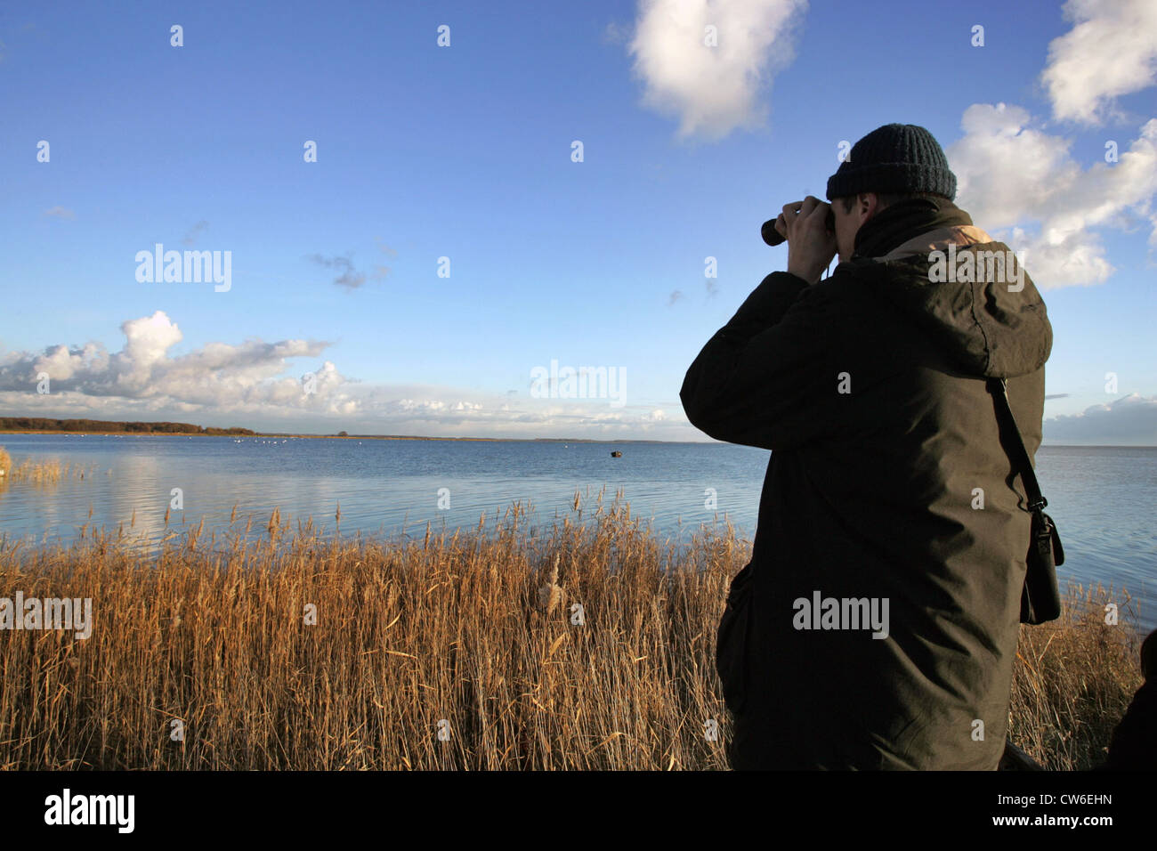 Zingst, sieht ein Mann durch ein Fernglas auf der Lagune Stockfoto