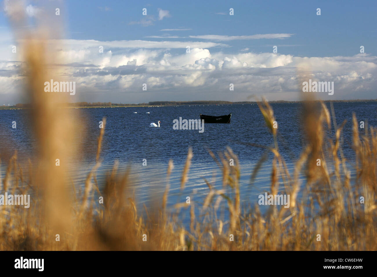 Zingst-Blick auf die nationalen Boddenlandschaft Stockfoto