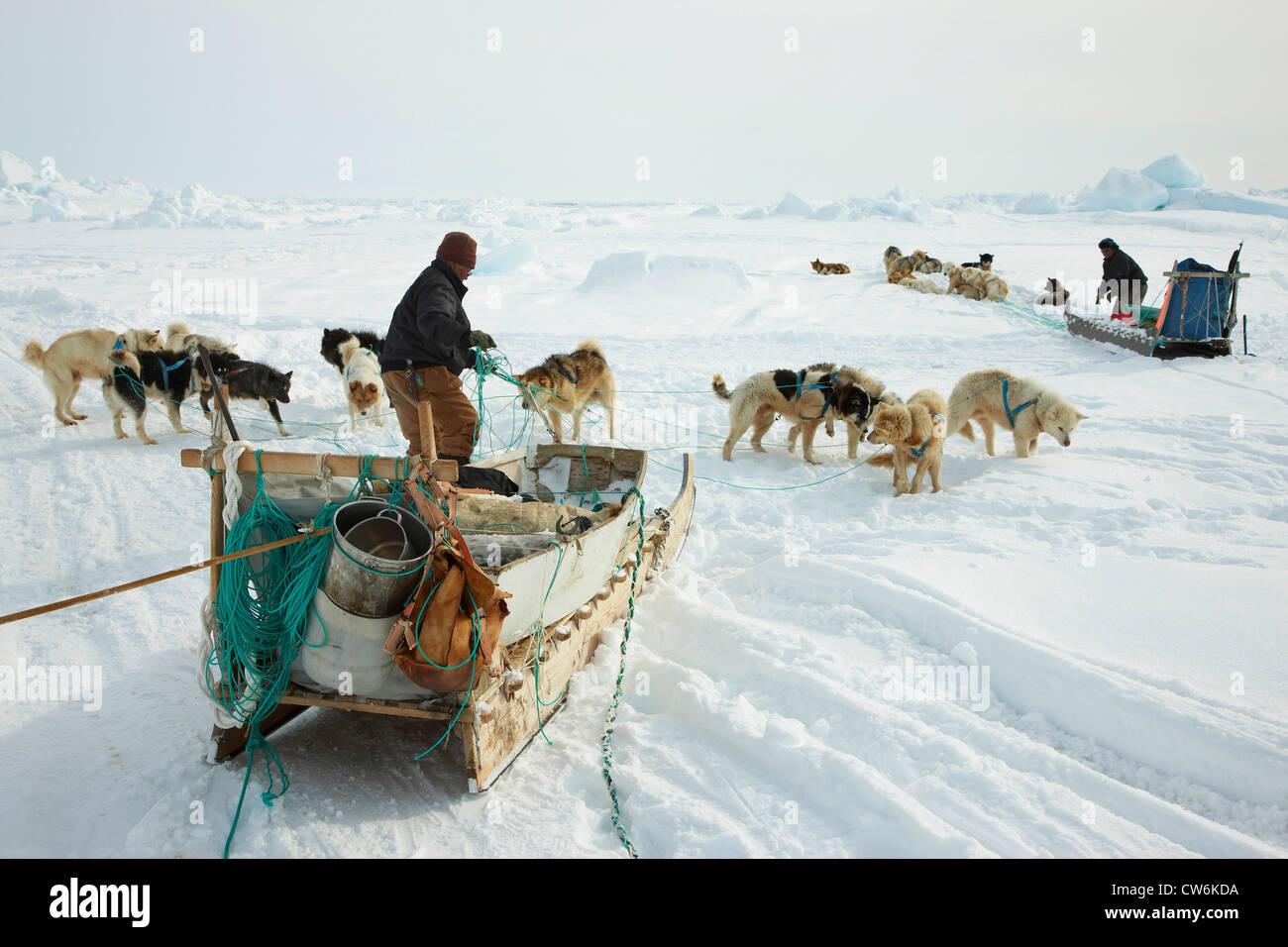 zwei Inuit-Jäger mit Hundeschlitten bei Cape Tobin, Grönland, Ostgroenland, Tunu, Ittoqqortoormiit Stockfoto