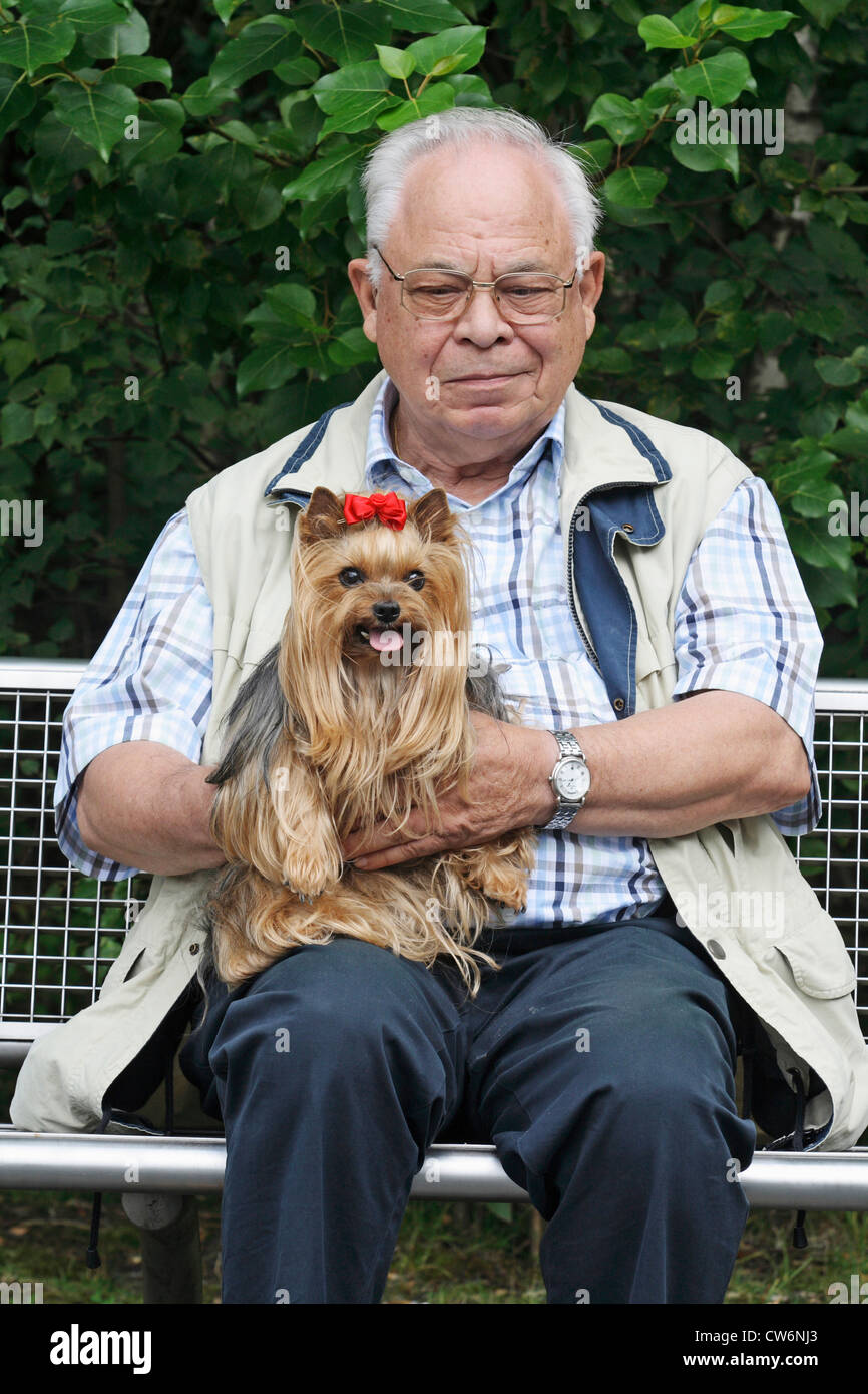 Yorkshire Terrier (Canis Lupus F. Familiaris), Alter Mann sitzt auf einer Bank mit seinem 9-jährigen Hund Stockfoto