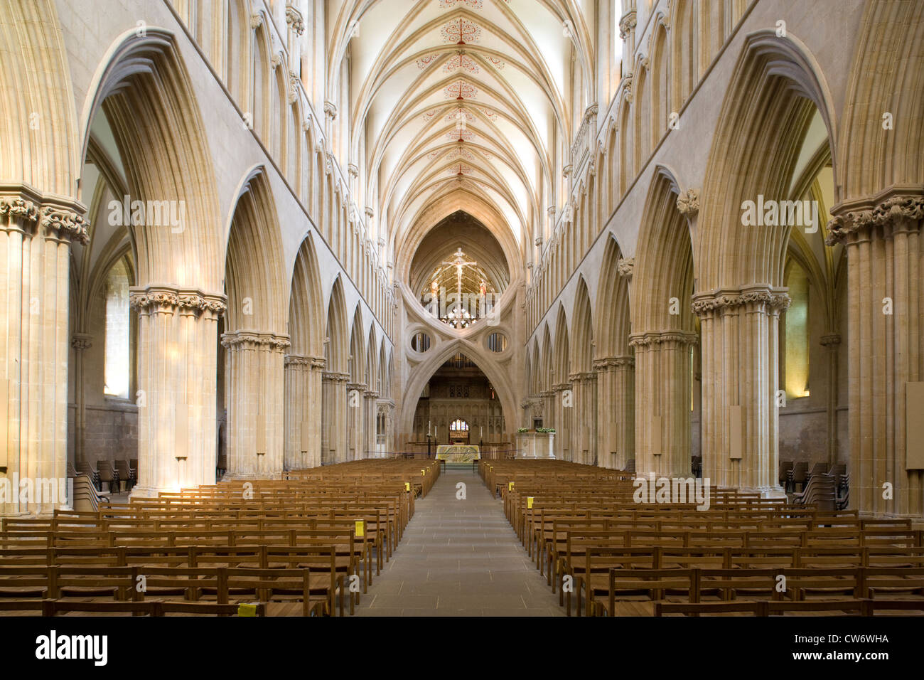 Wells: Kathedrale Kirchenschiff Stockfoto