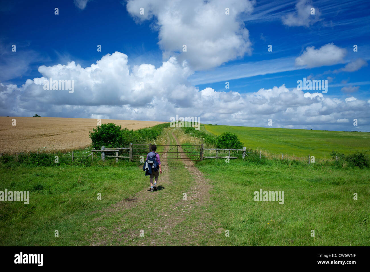 Die South Downs Way, Hampshire, UK Stockfoto