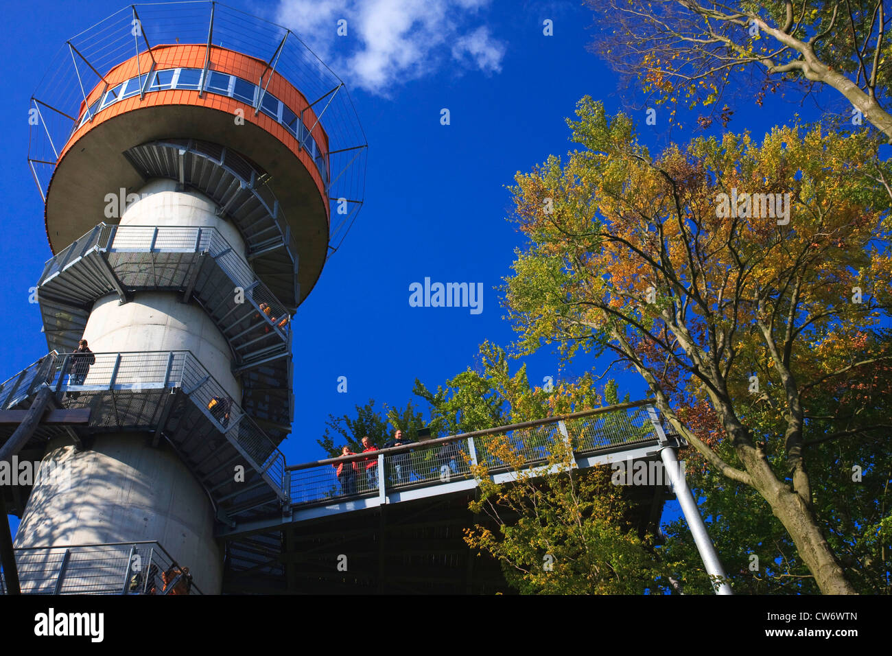 Aussichtsturm in Baumkronen, Deutschland, Thüringen Stockfoto