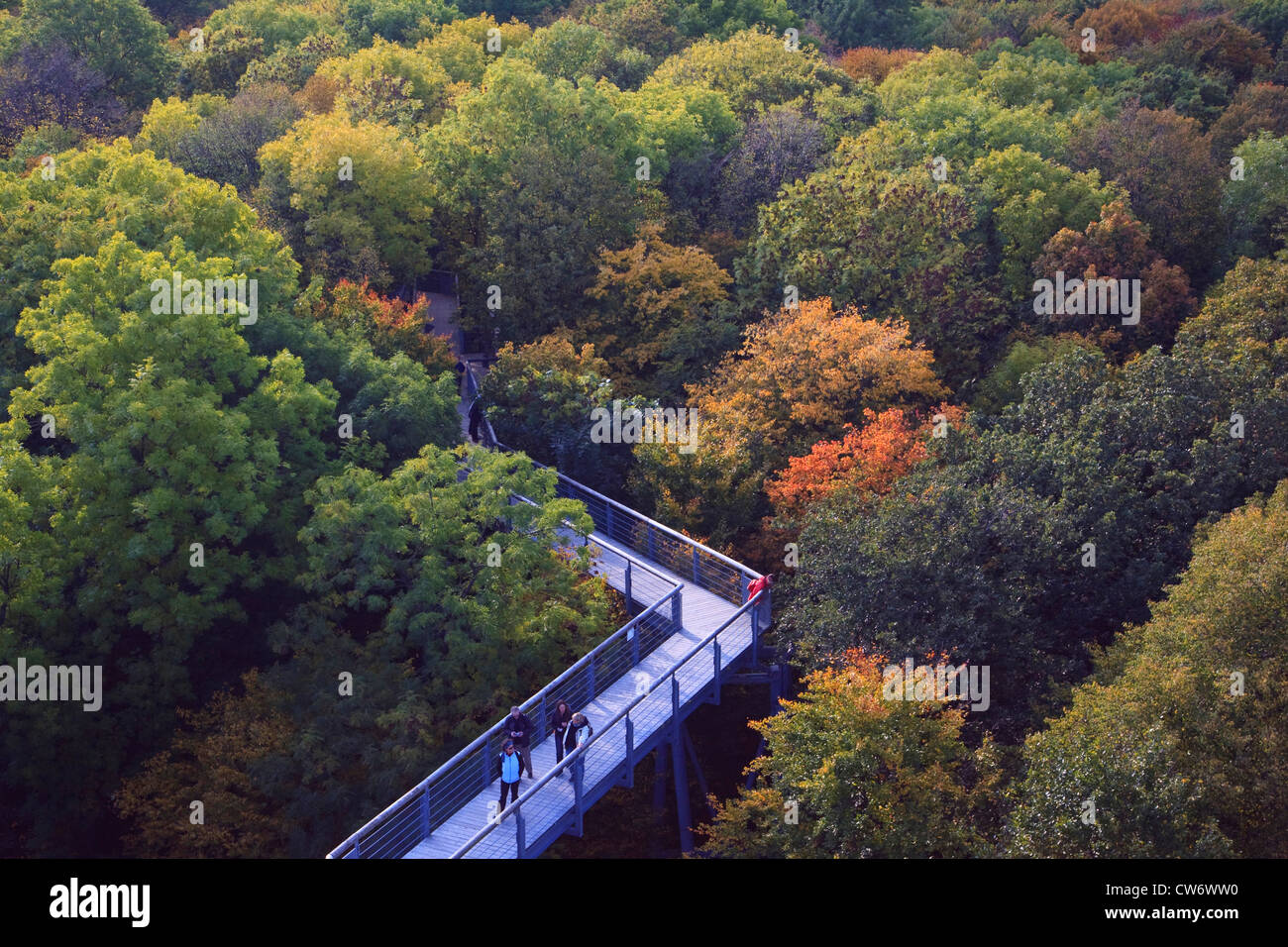 Blick auf Baumkronen, Deutschland, Thüringen Stockfoto