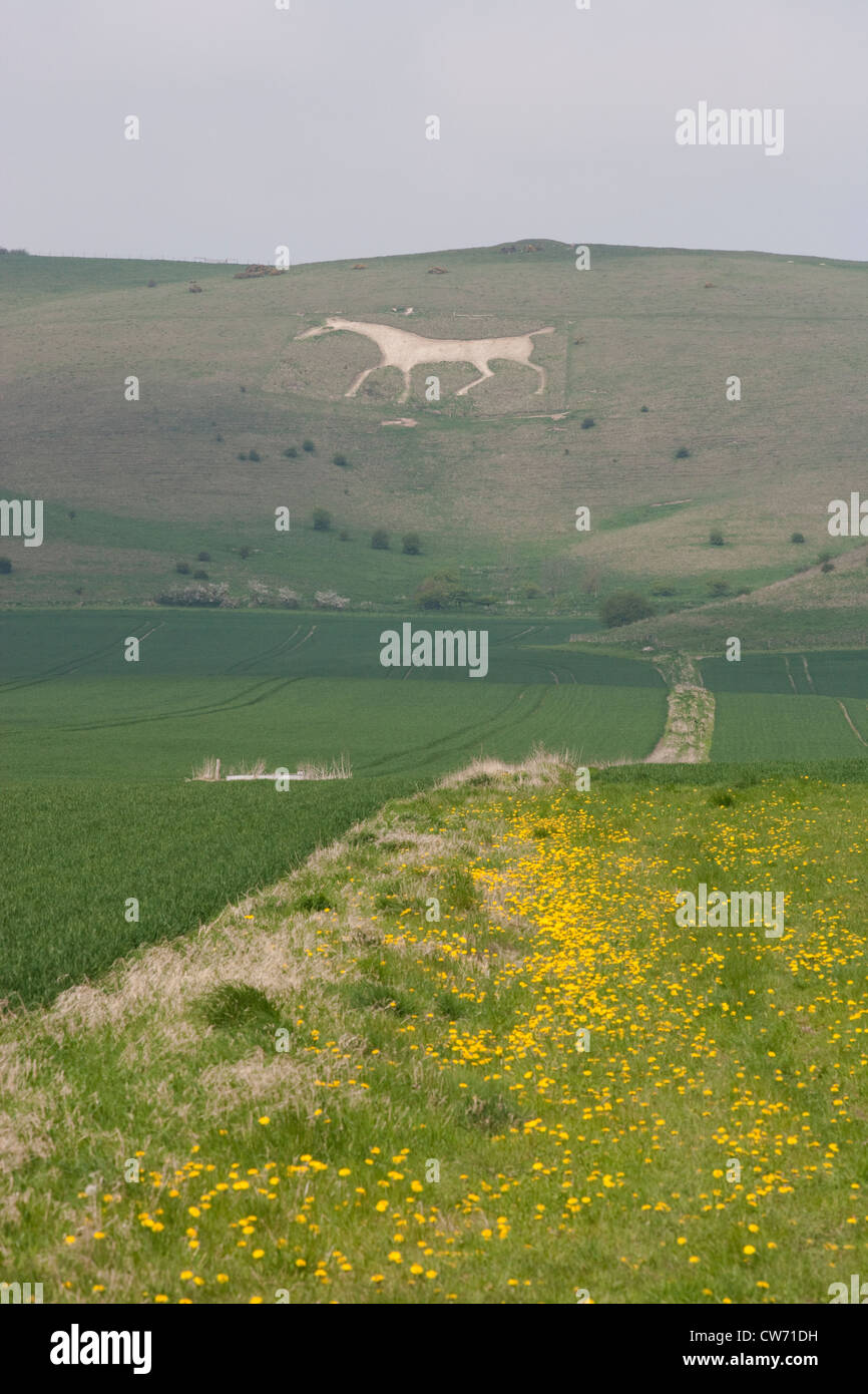 Vale of Pewsey: "White Horse" Stockfoto