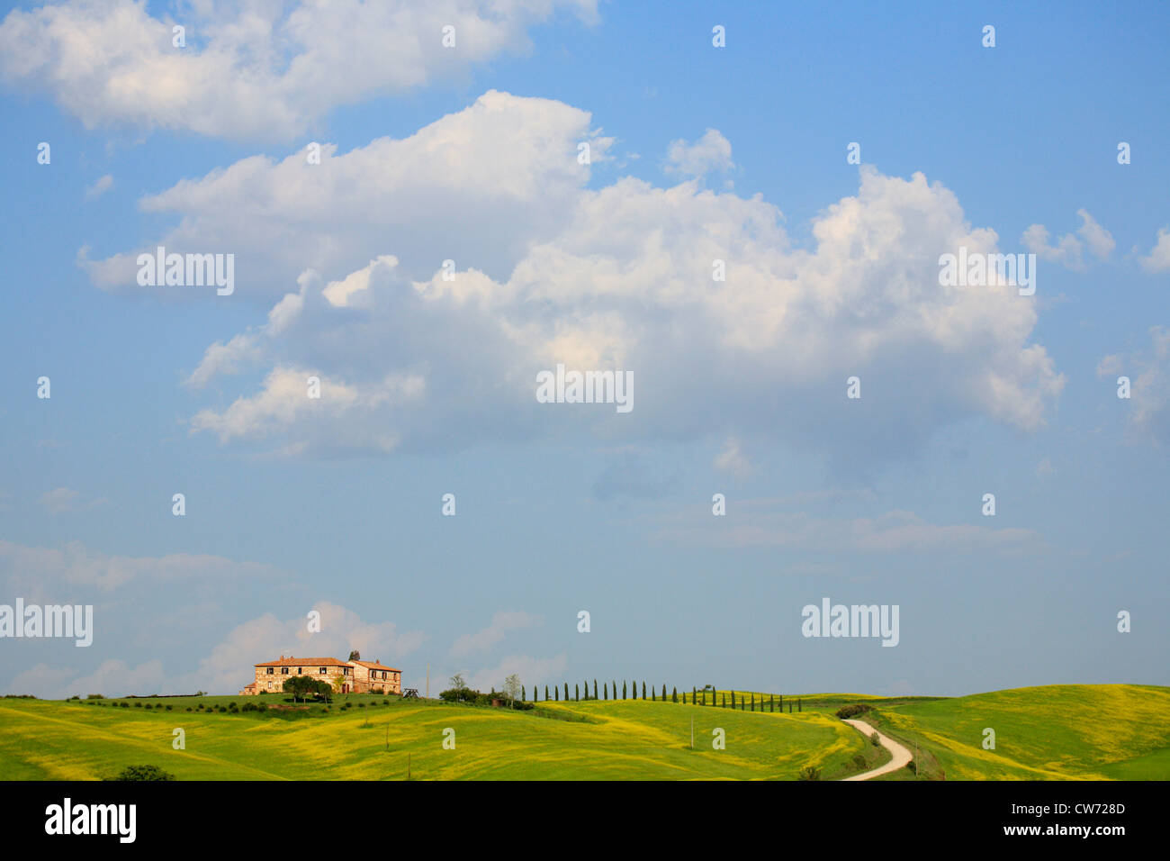hügelige Landschaft Mit traditionellen Cottage, Toskana, Italien, Tuscany Stockfoto