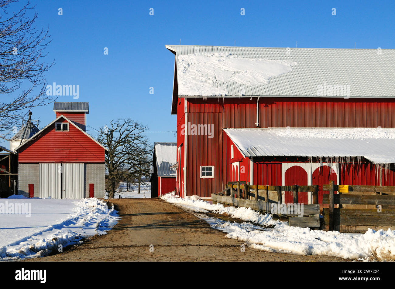 USA Illinois im späten Winter Szene des Mittleren landwirtschaftlichen Scheunen sitzen zwischen Taut wie Eiszapfen entlang Dach Linien bilden. Stockfoto