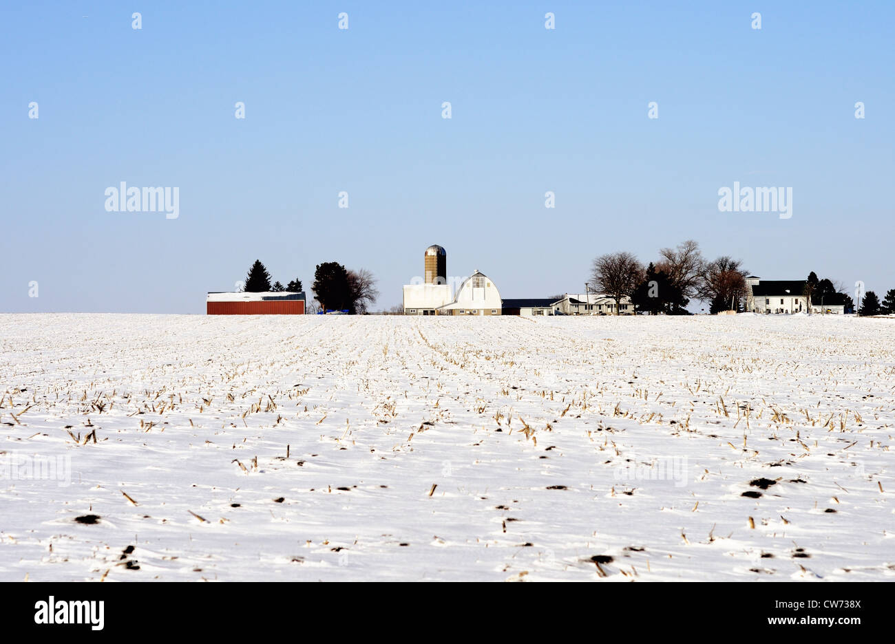 USA-Illinois-Winter-Szene Midwestern Bauernhof isoliertes weite offene land Stockfoto
