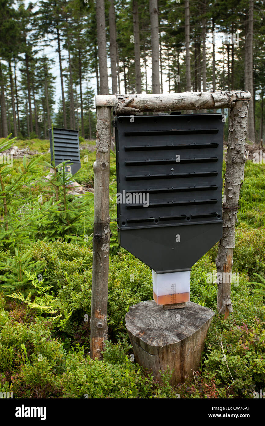 Wald schützen gegen Baum Schädlinge, Container im Wald, Falle Stockfoto