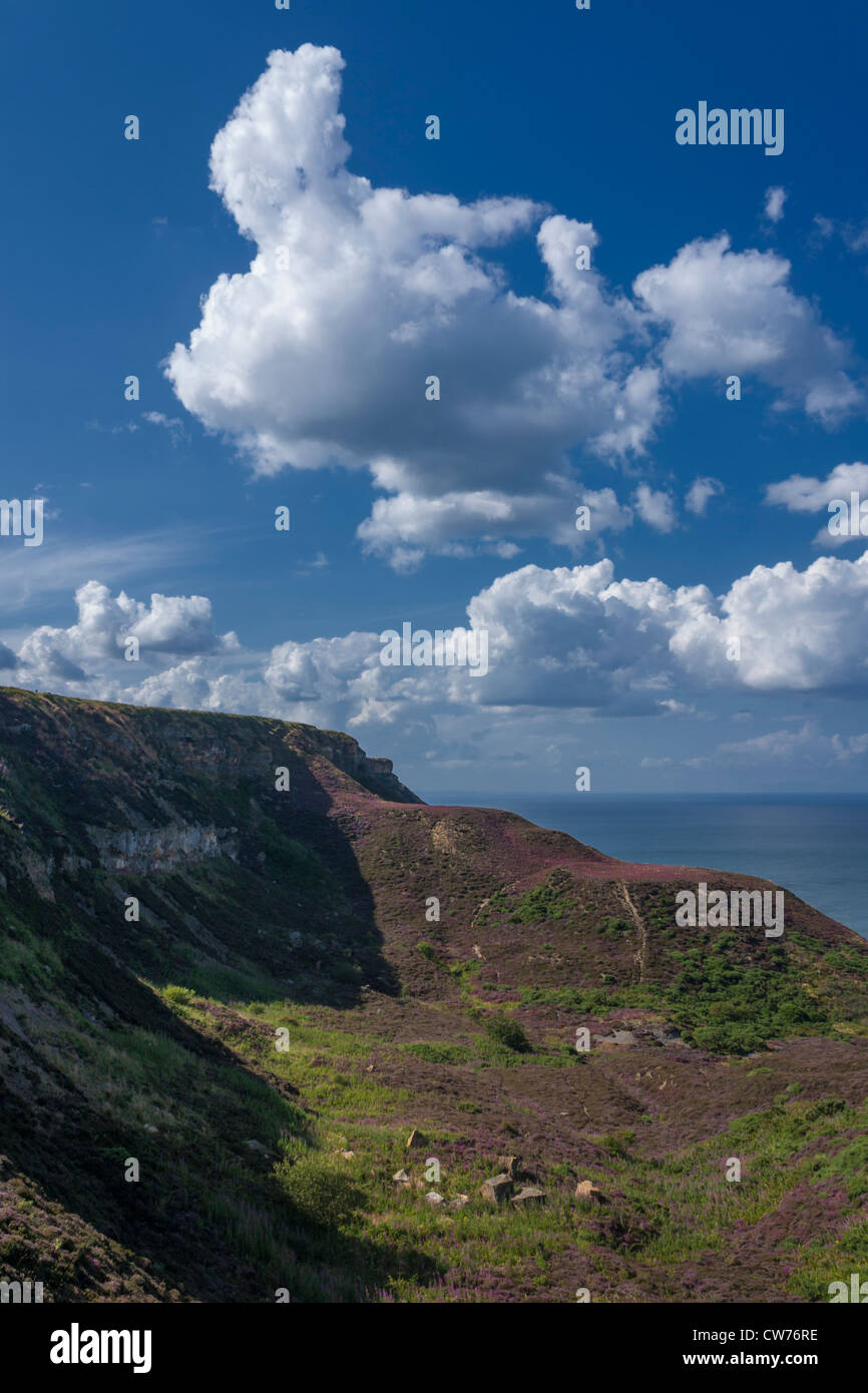 Verfallene Alaun Minen auf Boulby Klippe. Stockfoto