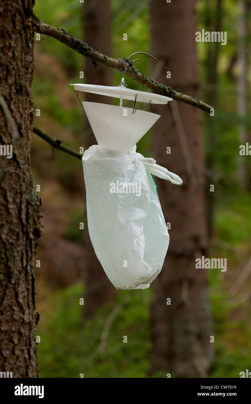 Wald schützen gegen Baum Schädlinge, Kunststoffbehälter im Wald Stockfoto