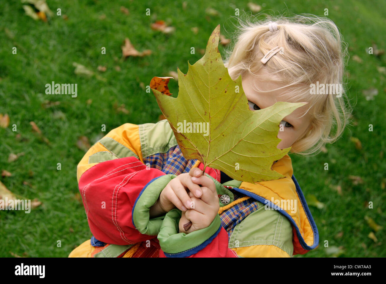 kleines Mädchen versteckt sich hinter Herbst Blatt, Deutschland Stockfoto