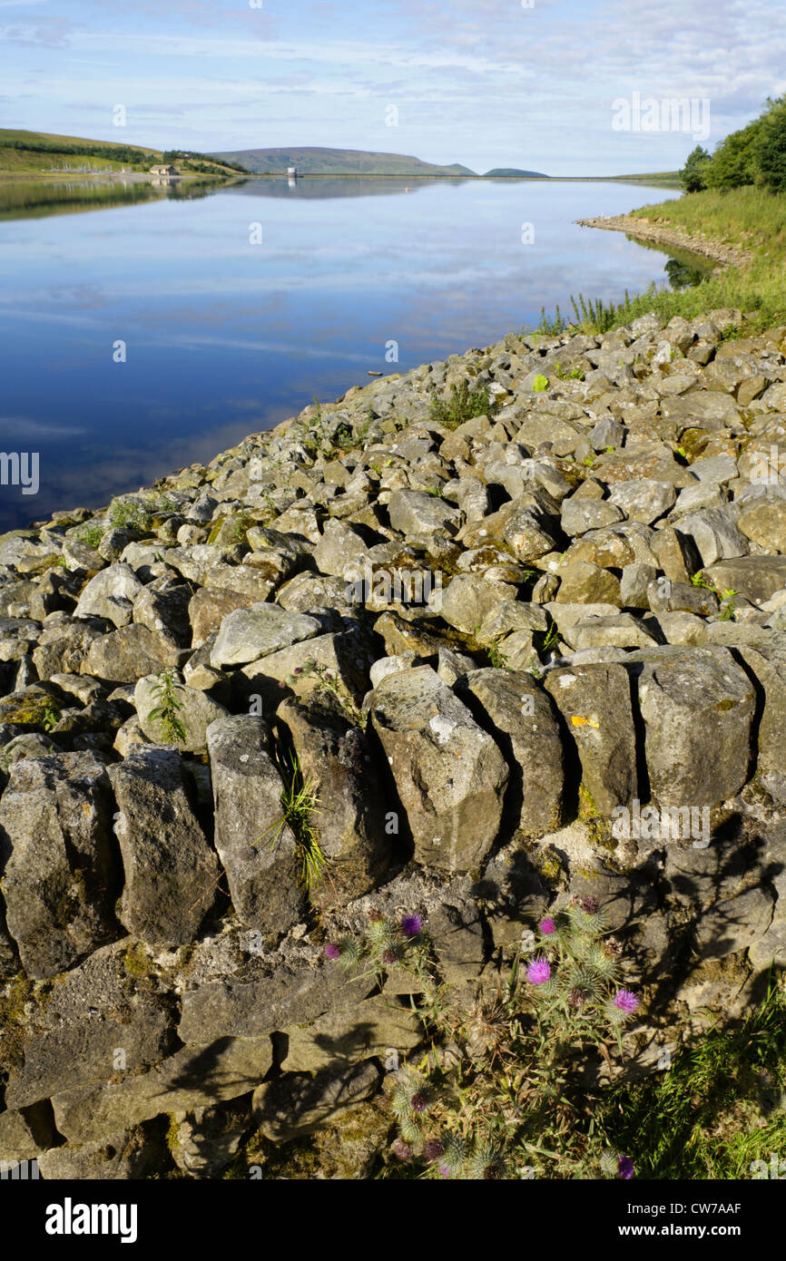 Grimwith Stausee, Yorkshire Dales, England. Stockfoto