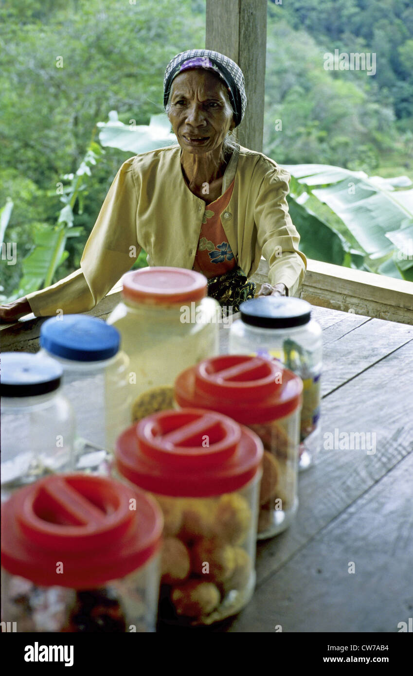 alte Frau, Indonesien Stockfoto