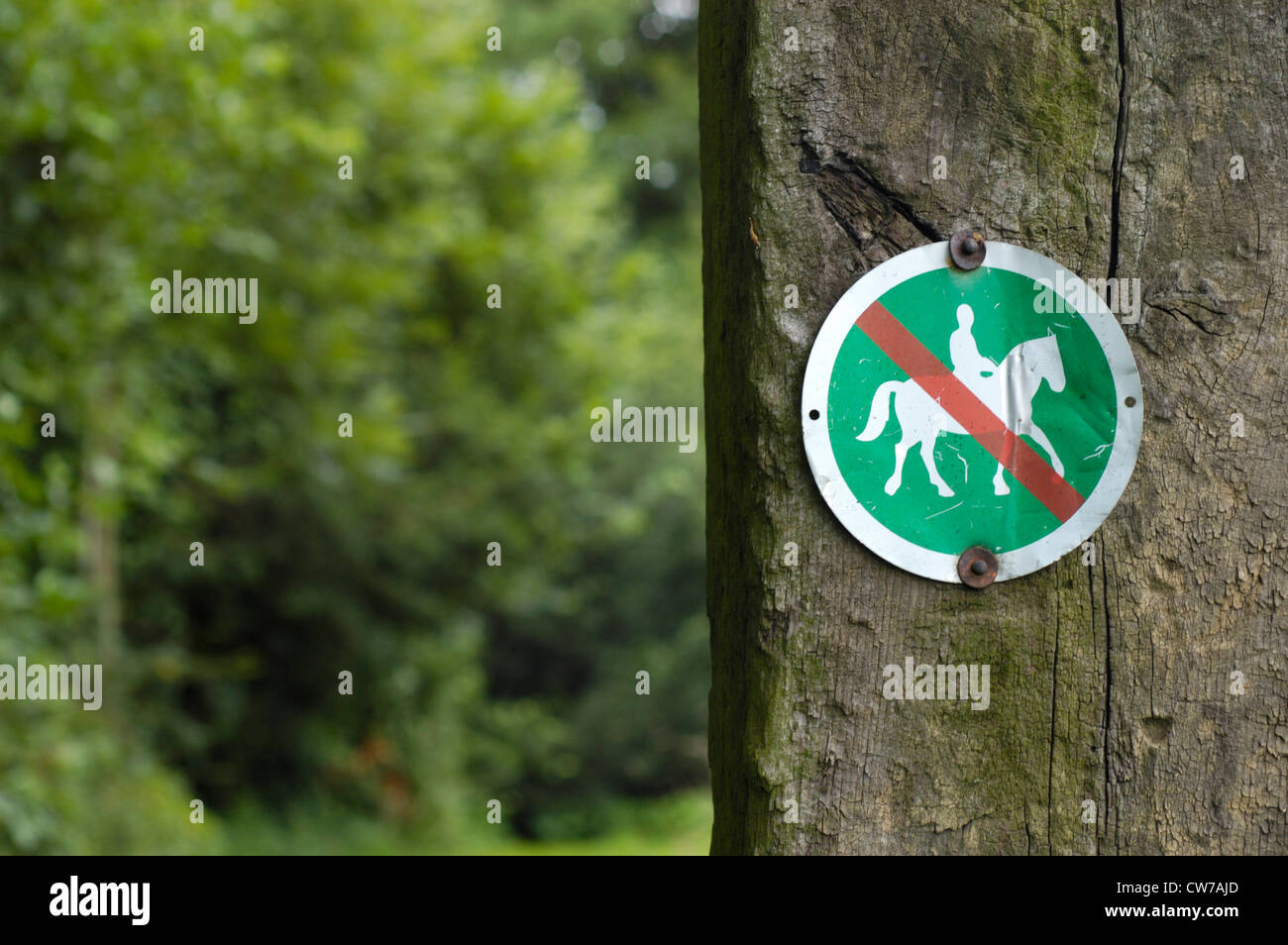 Verbotszeichen für Pferde im Wald, Deutschland Stockfoto