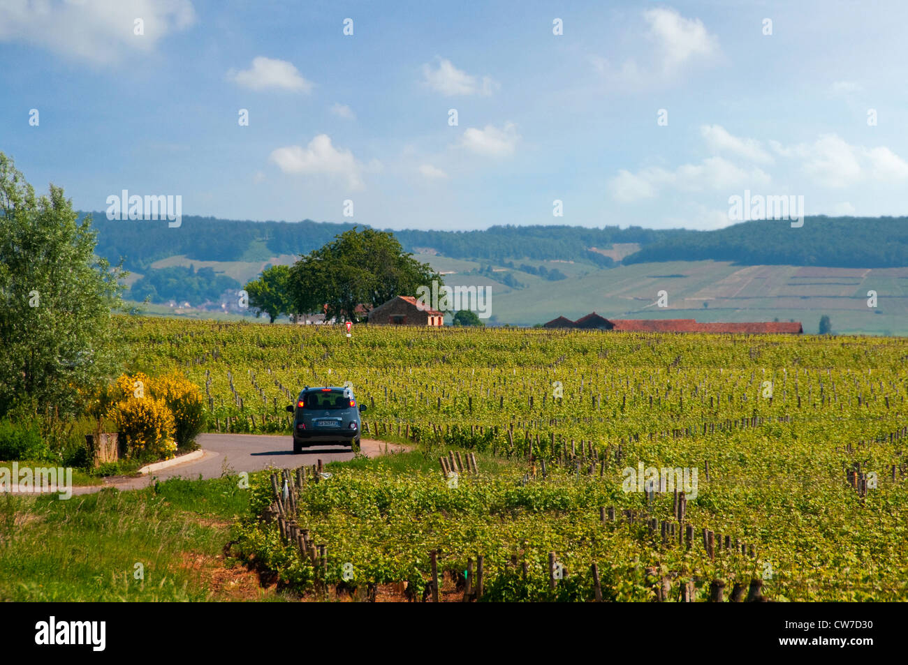 Weinberge rund um Beaune ist die Weinhauptstadt von Burgund Frankreich Stockfoto